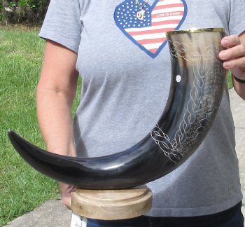 28 inch Carved Buffalo horn centerpiece with wood base - $60