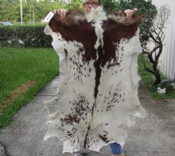 Real Goat Hide for sale -  49 inches - $39
