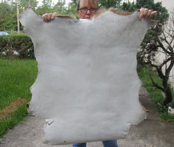 Real Goat Hide for sale -  35 inches - $35