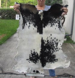 Real Goat Hide for sale -  48 inches - $39