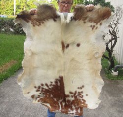 Real Goat Hide for sale -  43 inches - $39