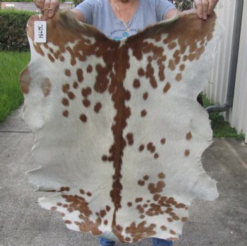 Real Goat Hide for sale -  34 inches - $25