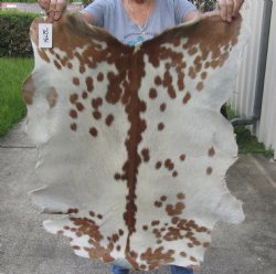 Real Goat Hide for sale -  34 inches - $39