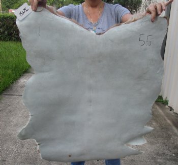 Real Goat Hide for sale -  34 inches - $25