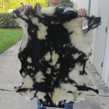 Real Goat Hide for sale -  37 inches - $35