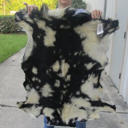 Real Goat Hide for sale -  37 inches - $39