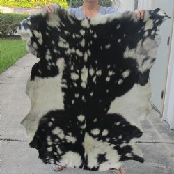 Real Goat Hide for sale -  43 inches - $39