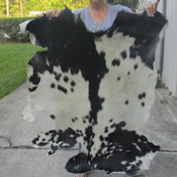 Real Goat Hide for sale -  40 inches - $39