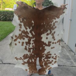 Real Goat Hide for sale -  45 inches - $39