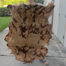 Real Goat Hide for sale -  45 inches - $39