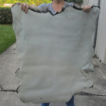 Real Goat Hide for sale -  41 inches - $35