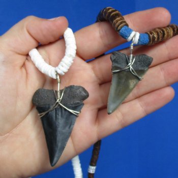 2 piece lot of Fossil Mako Shark Tooth necklaces - $25