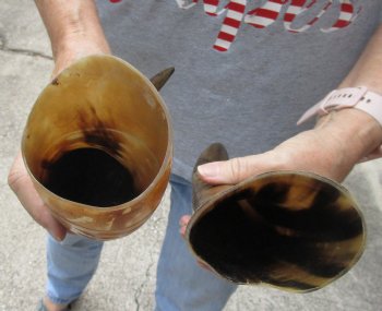2 piece lot of Authentic Rustic Polished Carved Cattle/Cow horn with caved lines and oval design - $17/lot