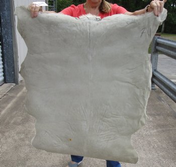 Buy this Real Goat Hide for sale -  41x35 inches - $35