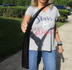 For Sale 29 inch lo...