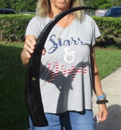 For Sale 29 inch lo...