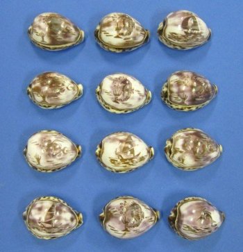 Wholesale Carved Tiger Cowrie Shells in assorted designs 2-1/2 to 3 inches - 10 pcs @ $1.35 each; 60 pcs @ $1.20 each