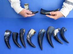 10 pc Polished 6 - ...