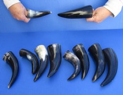 10 pc Polished 6 - ...