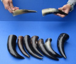 10 pc Polished 6 - ...