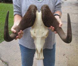 Buy this African Ma...