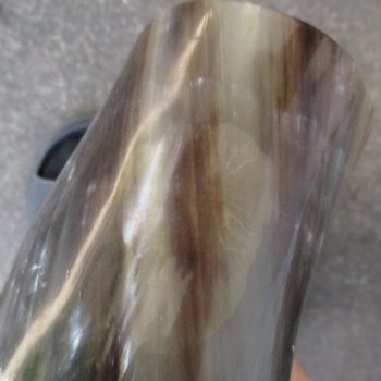 23" Wide Base, Polished Buffalo Horn - $37