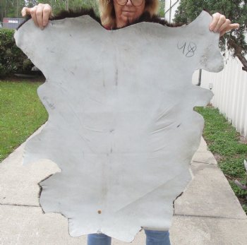 Small 33" x 25" Goat Hide - $30