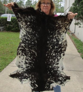 Small 35" x 24" Goat Hide - $30