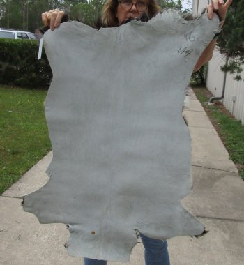 Small 35" x 24" Goat Hide - $30