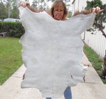 38" x 30" Goat Hide - $35