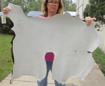 B-Grade 36" x 25" Goat Hide - $25