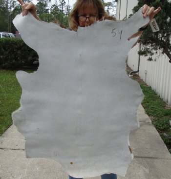 36" x 27" Goat Hide - $35