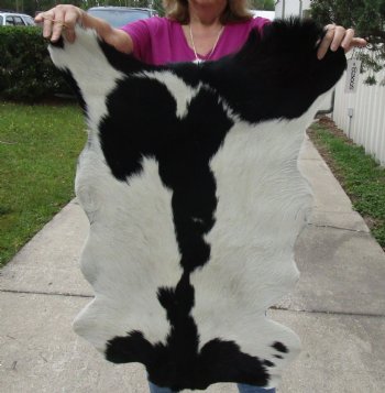 Small 35" x 24" Goat Hide - $30