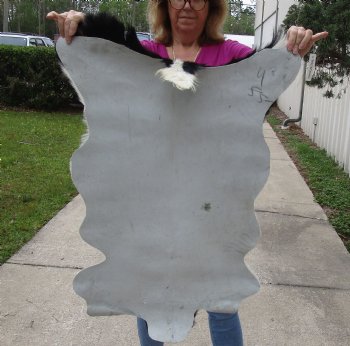 Small 35" x 24" Goat Hide - $30