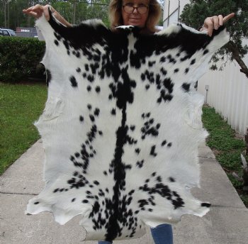 39" x 29" Goat Hide - $35