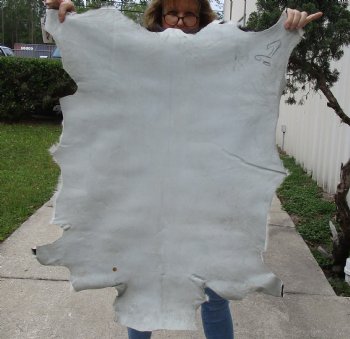 39" x 29" Goat Hide - $35