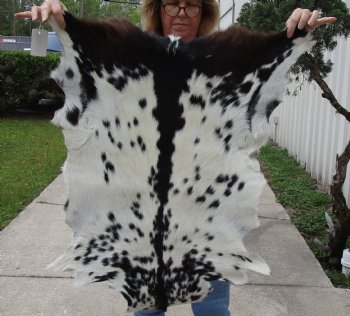 Small 35" x 25" Goat Hide - $30