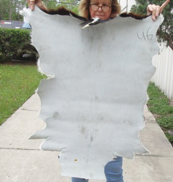 Small 35" x 25" Goat Hide - $30