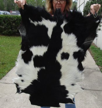 Small 35" x 24" Goat Hide - $30