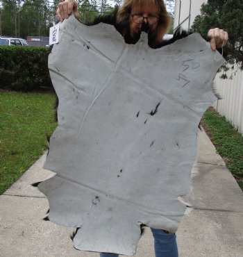 Small 35" x 24" Goat Hide - $30