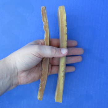 7" Pair of Sheep Horn Scales - $29