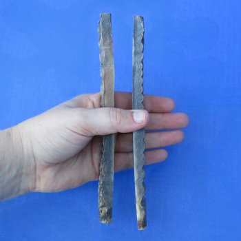 7" Pair of Sheep Horn Scales - $29