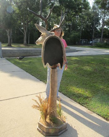 For Sale Buy this 9 point Mule Deer Shoulder Mount on Pedestal for - $500.00 - Pick Up Only