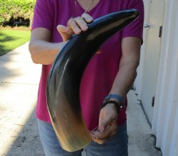 Buy this 22 Inch Wi...