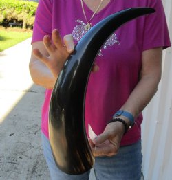 Buy this 21 Inch Wi...