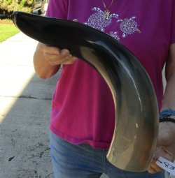 Buy this 23 Inch Wi...