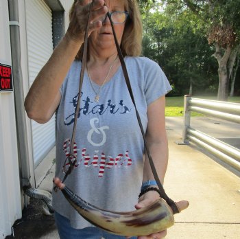 Buy this 16 inch Carved Cattle/cow Powder Horn with strap for $17