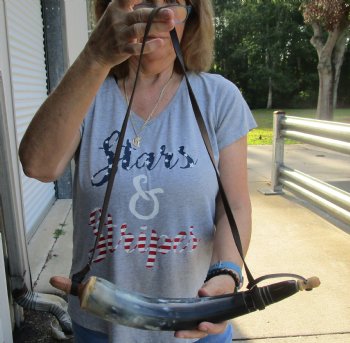 Buy this 17 inch Carved Cattle/cow Powder Horn with strap for $17