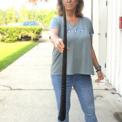 Buy this Gemsbok horn for making shofars, 31-1/2 inches for $23