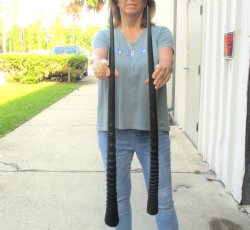 2 Piece Lot of 34-3/4 & 33 Inch Authentic African Gemsbok, Oryx horns available for purchase $50/lot